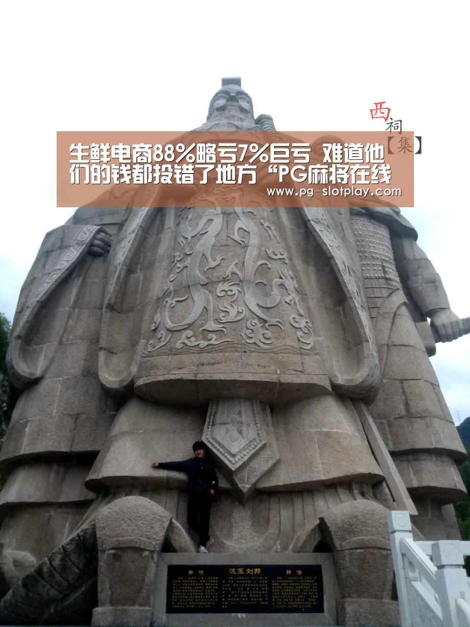 生鲜电商88%略亏7%巨亏 难道他们的钱都投错了地方“PG麻将在线玩”(图3) PG游戏平台