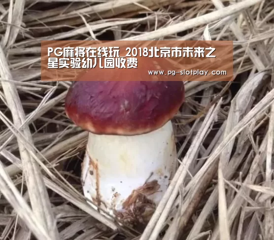 PG电子老虎机