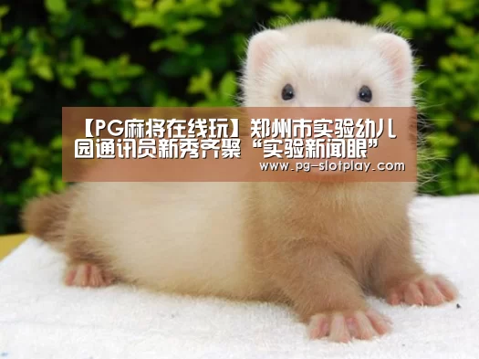 【PG麻将在线玩】郑州市实验幼儿园通讯员新秀齐聚“实验新闻眼”生日party(图3) PG麻将在线玩