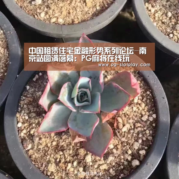 PG电子老虎机