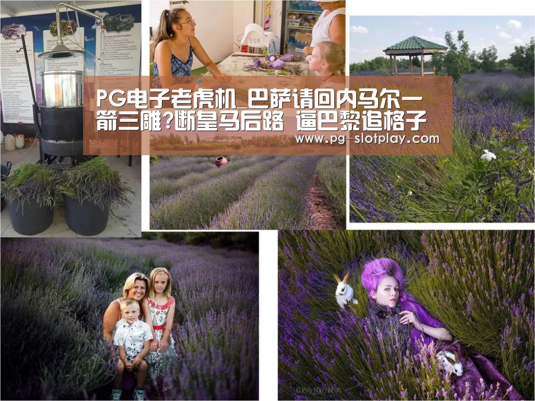 PG麻将娱乐