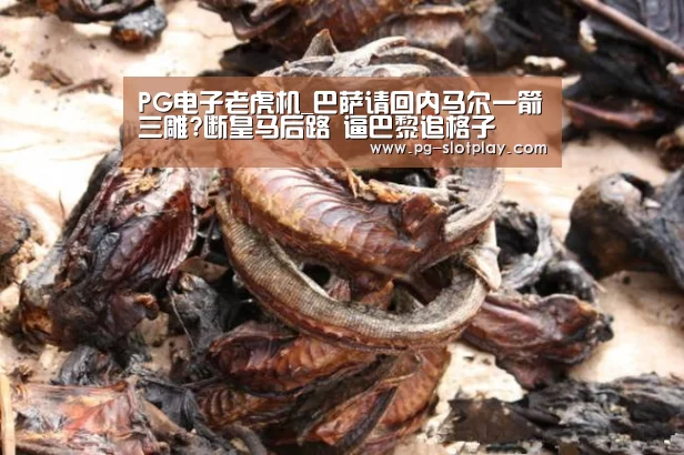 PG电子老虎机